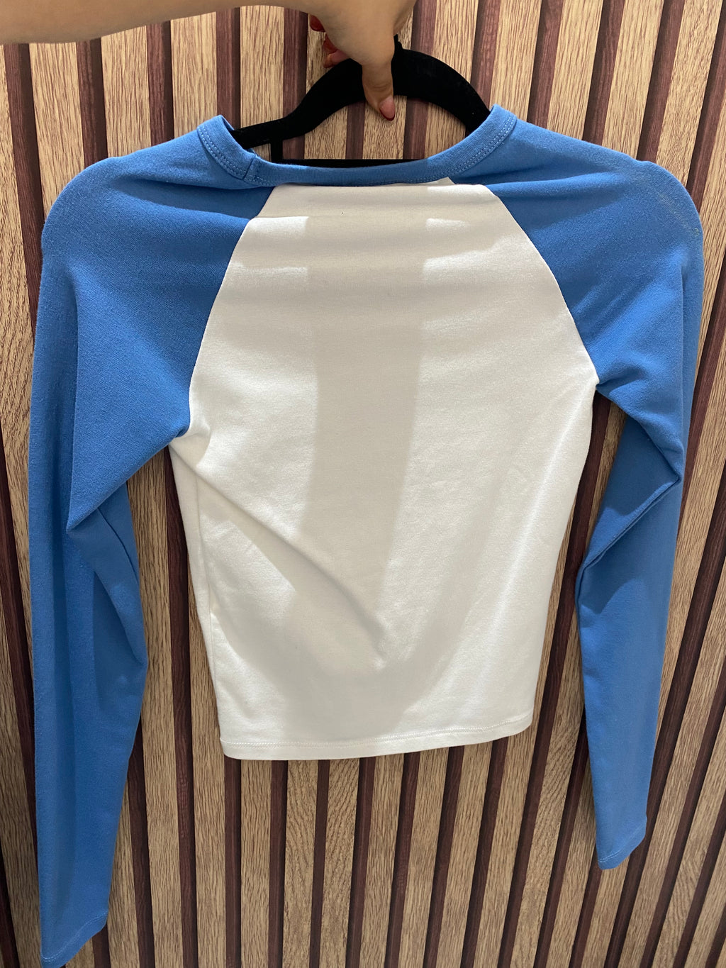 Blusa (ZARA)