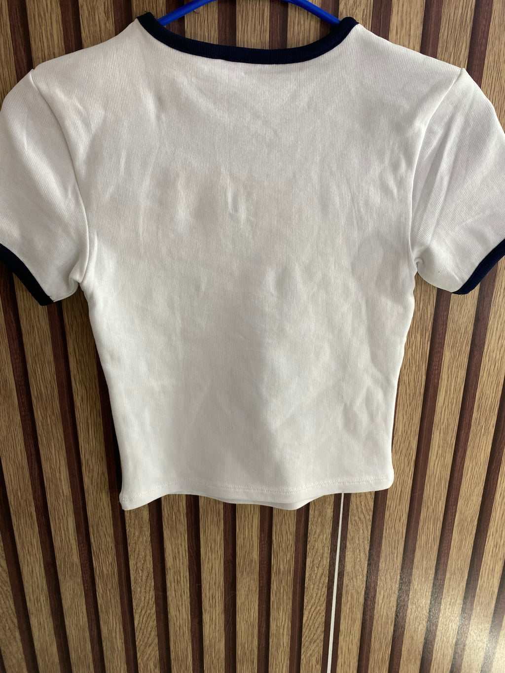 Blusa (ZARA)