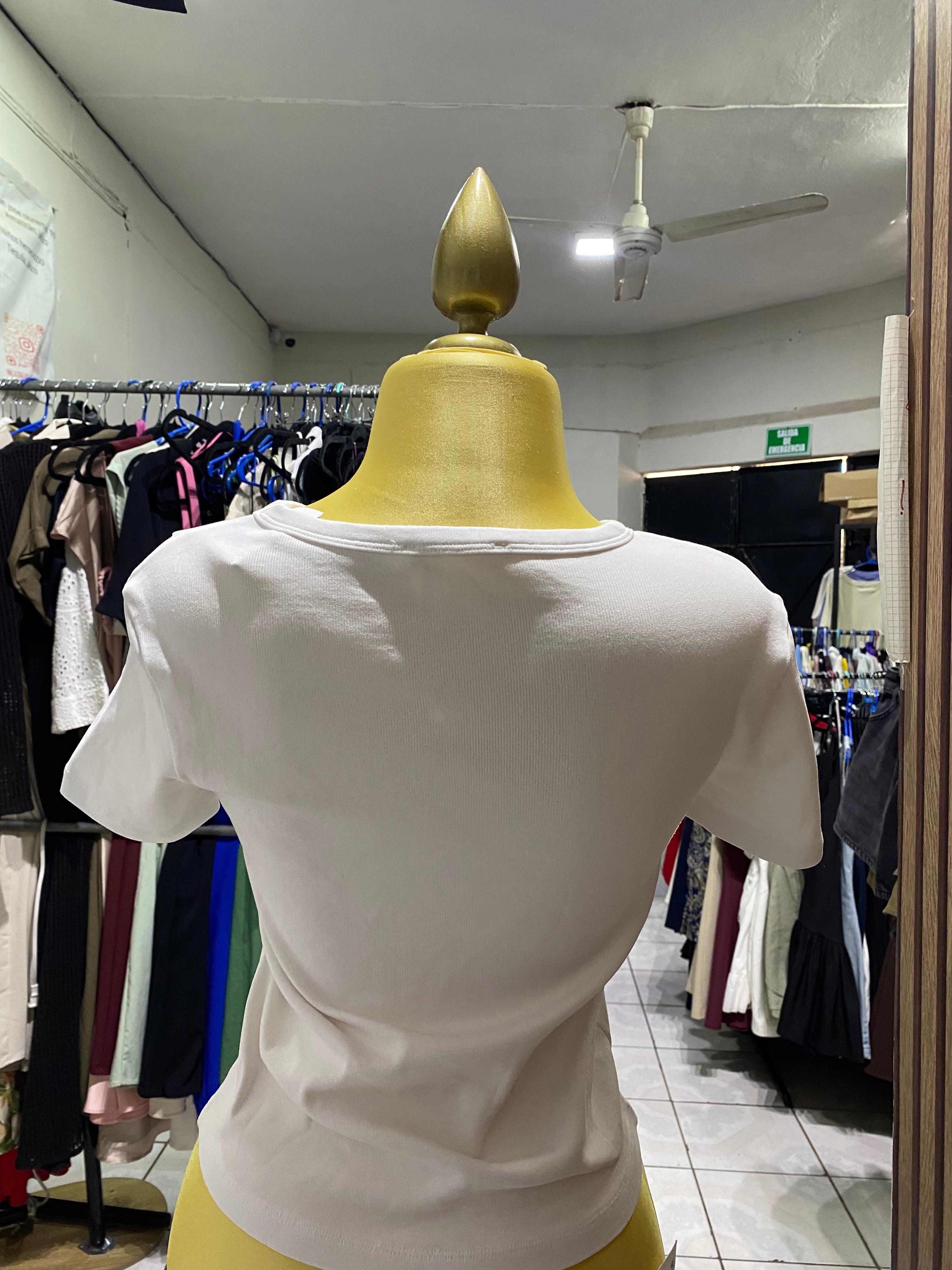 Blusa (ZARA)