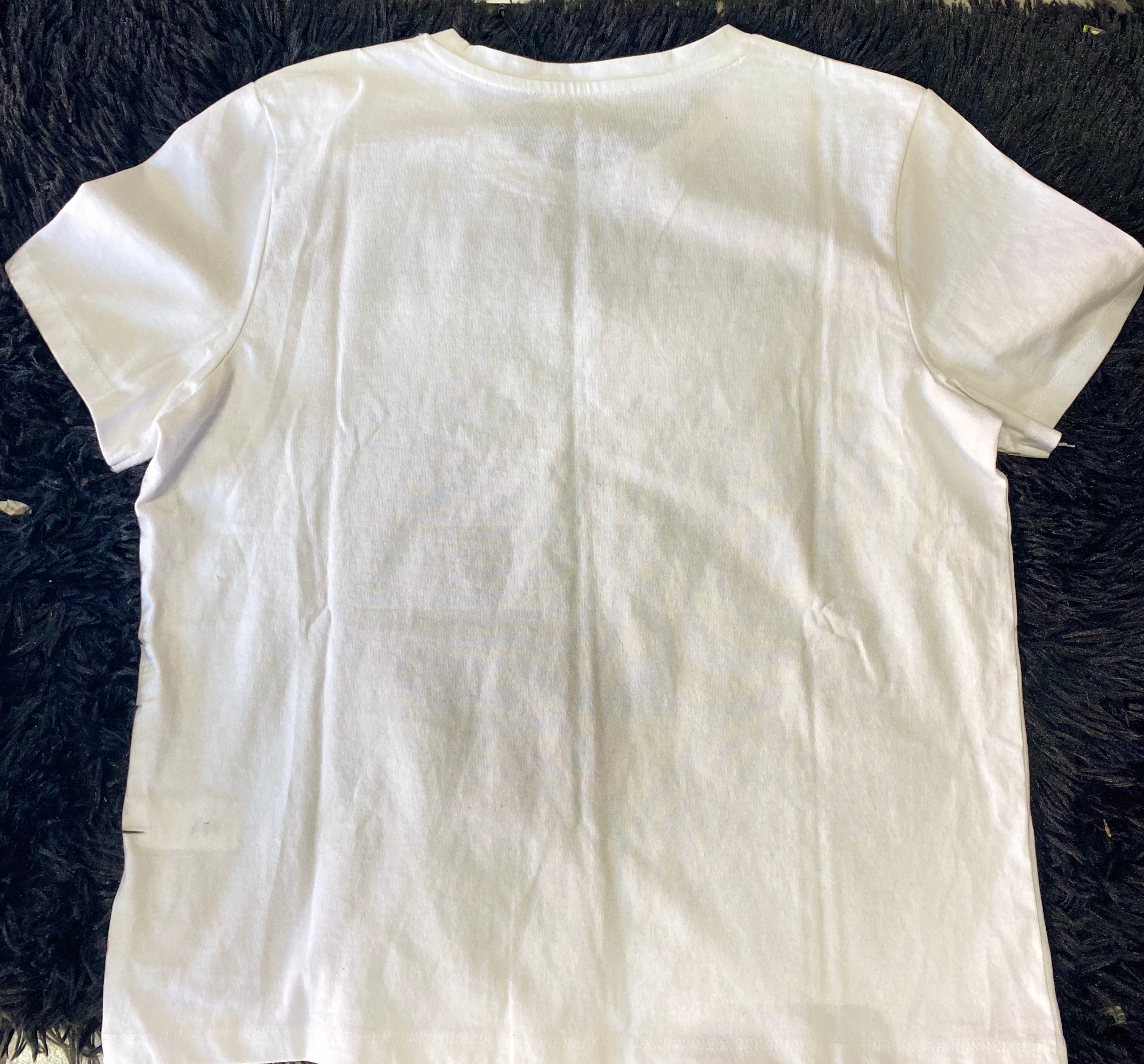 Blusa (ZARA)