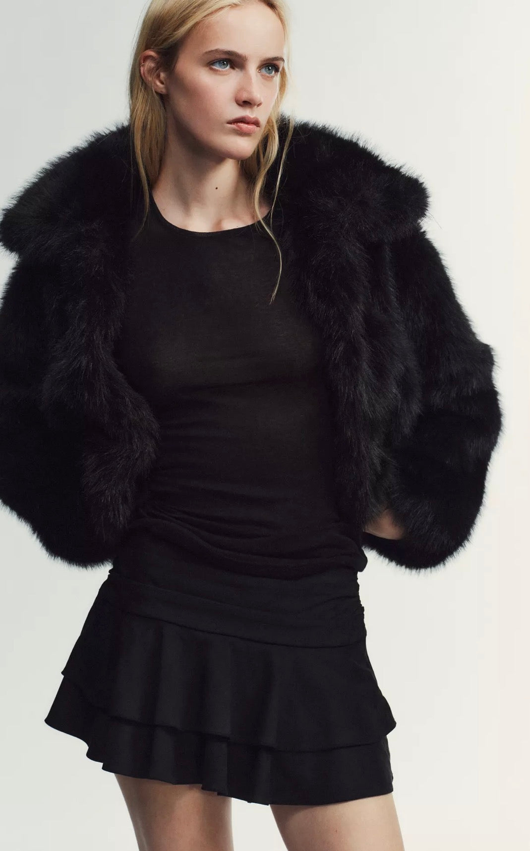 Falda (Zara)