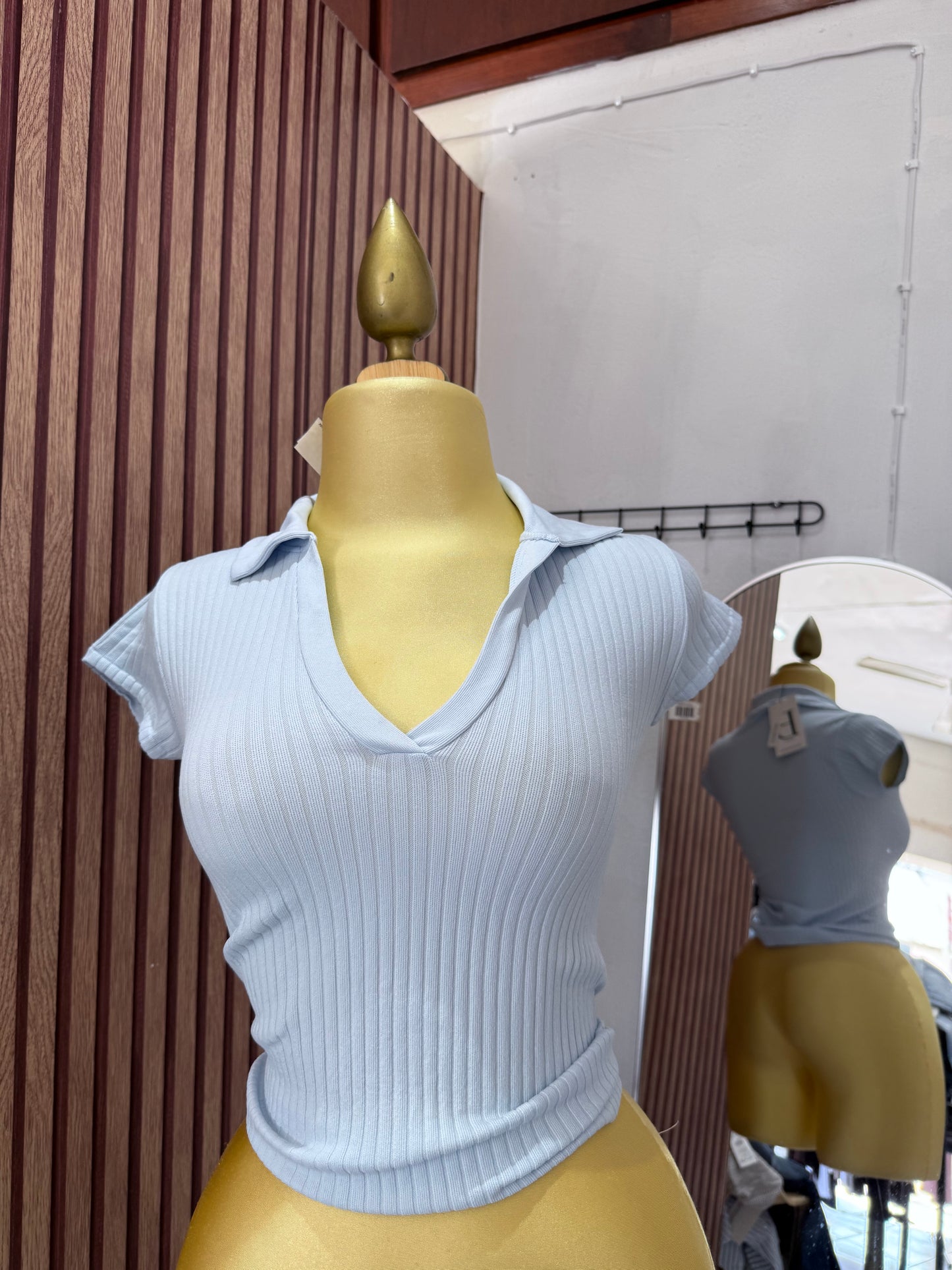 Blusa
