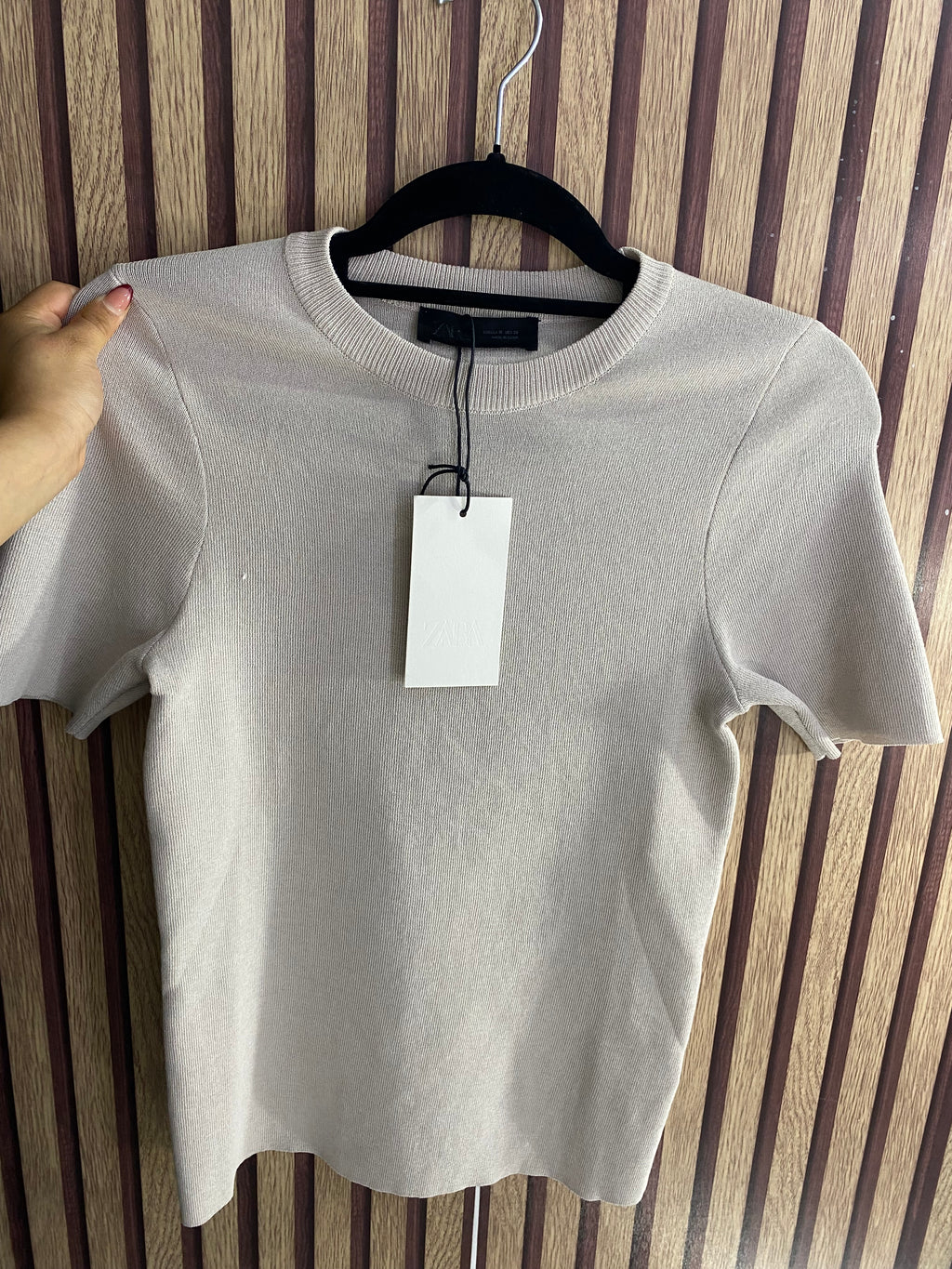 Blusa (ZARA)